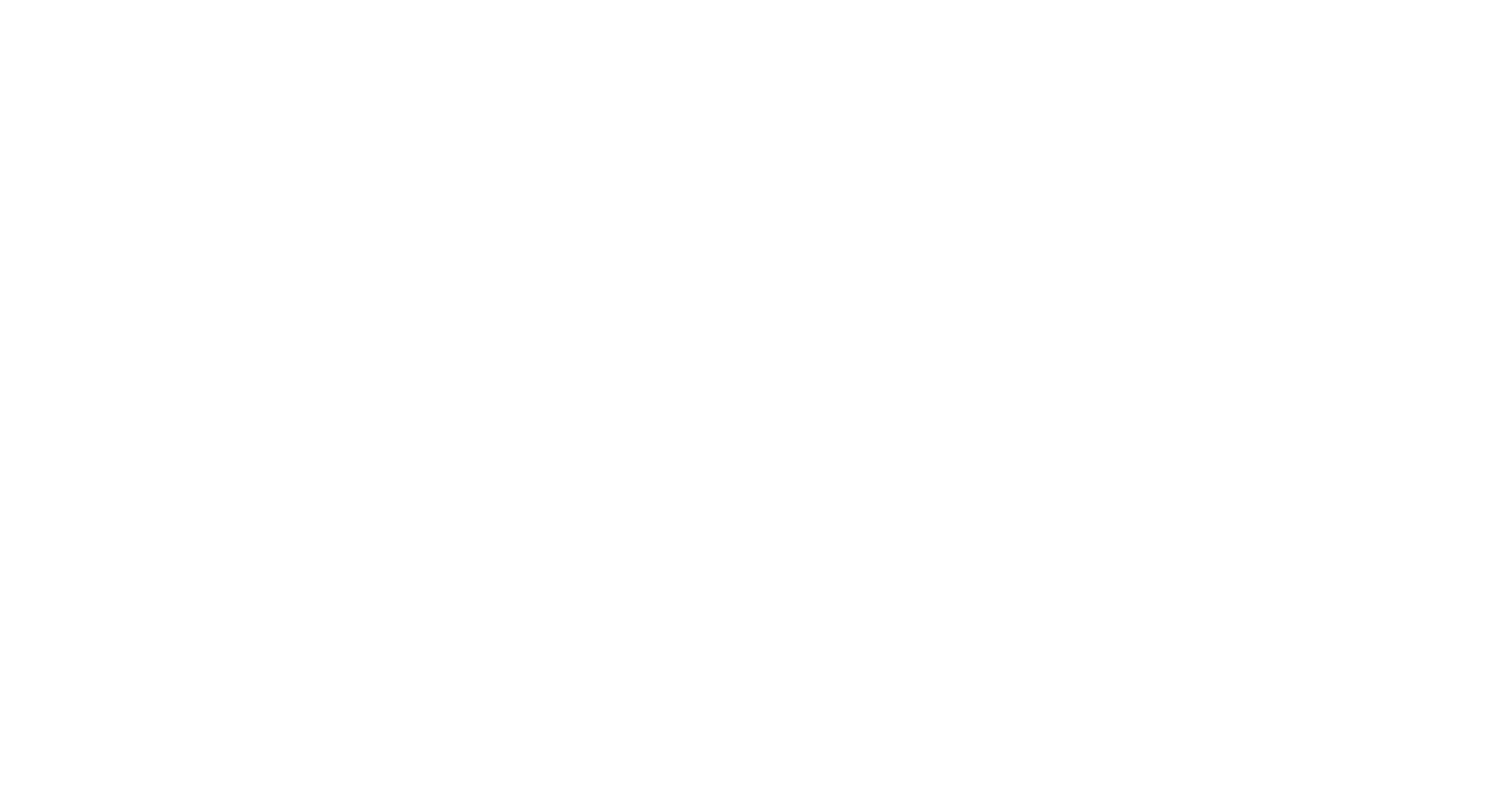 Traffic Ninjas
